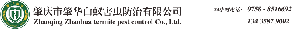 肇慶白蟻防治公司/肇慶殺蟲(chóng)公司/肇慶白蟻防治中心/肇慶白蟻專(zhuān)家-肇慶市肇華白蟻害蟲(chóng)防治有限公司