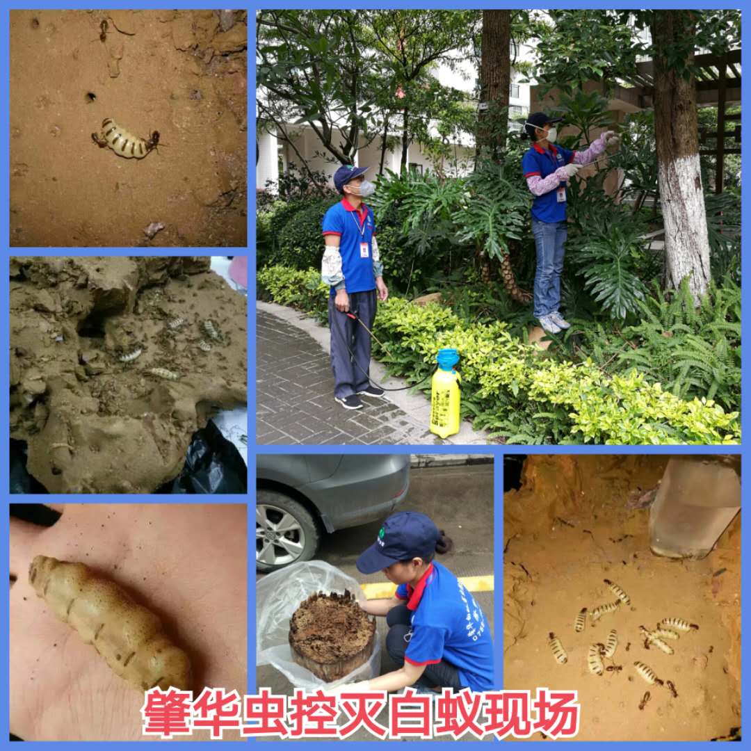 微信圖片_20180904115711.jpg